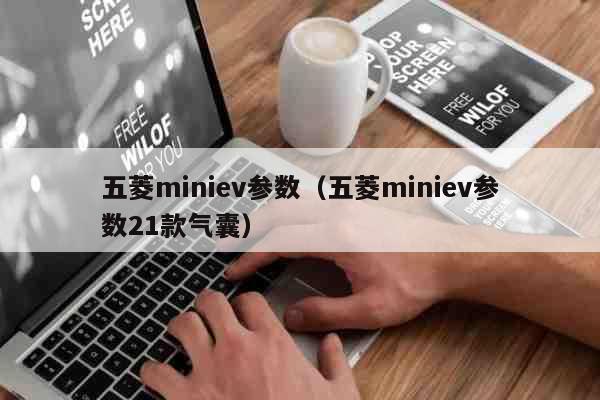 五菱miniev参数21款气囊  五菱miniev参数