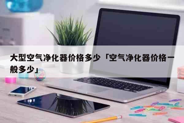 大型空气净化器价格多少「空气净化器价...