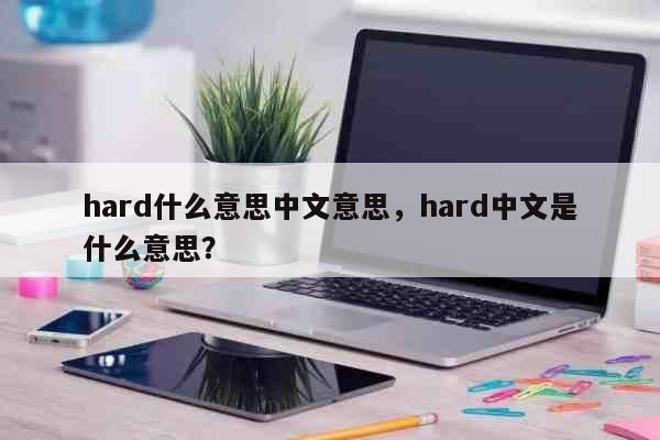 hard什么意思中文意思,hard中文是什么意思? 文化
