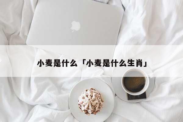 小麦是什么「小麦是什么生肖」