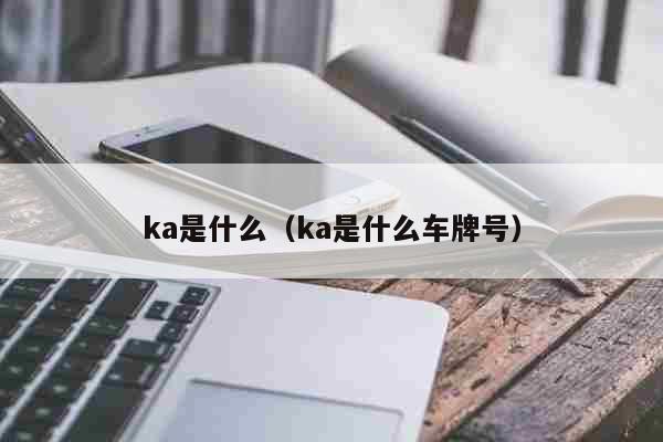 ka是什么（ka是什么车牌号）