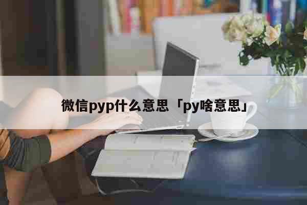 微信pyp什么意思「py啥意思」