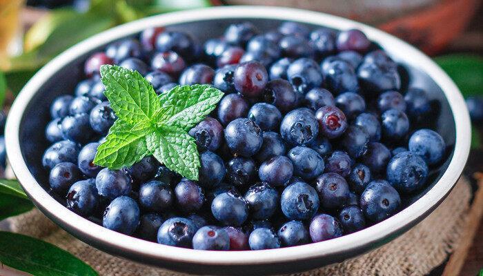北陆蓝莓品种介绍 北陆蓝莓品种的介绍