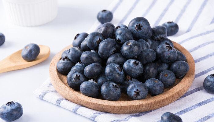 北陆蓝莓品种介绍 北陆蓝莓品种的介绍