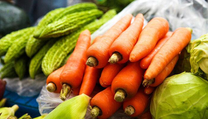 胡萝卜只要有充足的什么就能生长 胡萝卜有充足的什么就能生长
